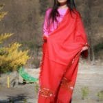 Red Woolen Hand Woven Kullu Embroidered Border Shawl