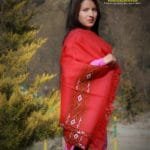 Red Woolen Hand Woven Kullu Embroidered Border Shawl