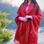 Pure Wool Hand Weaving Handloom Shawl Flower Embroidery (Red)-www.himalayankraft.in