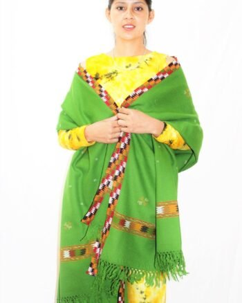 Green Women Hand Woven Kullu Shawl